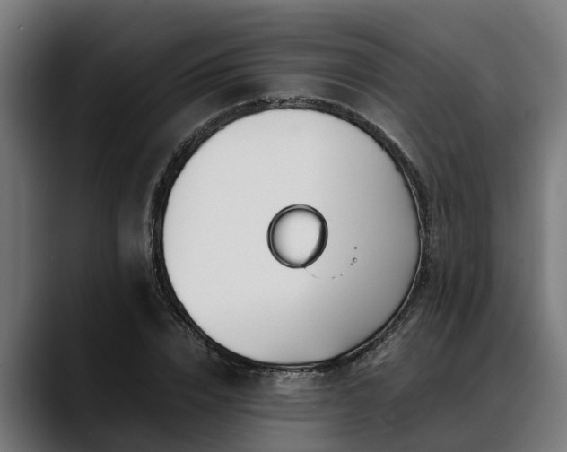 X0000088460832200705291529