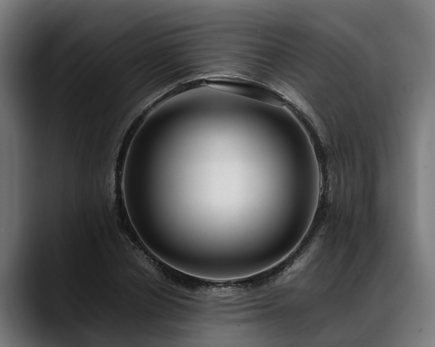 X0000088460834200705291529