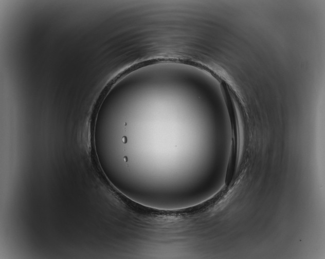 X0000088460838200705291529