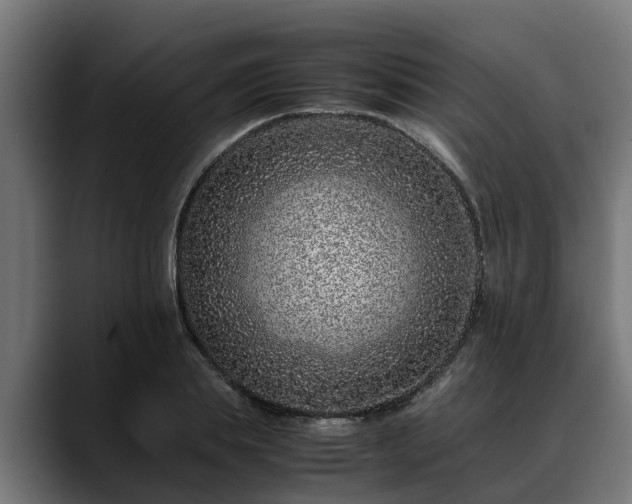 X0000088460839200705291529