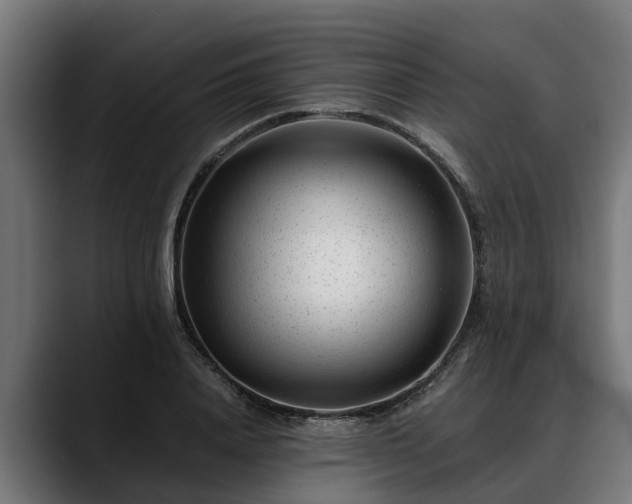 X0000088460840200705291529