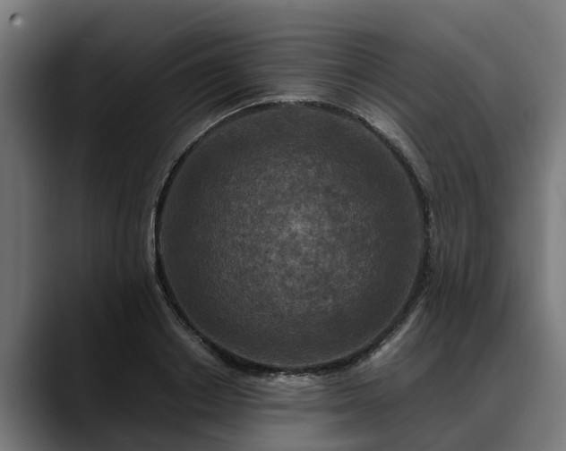 X0000088460842200705291529