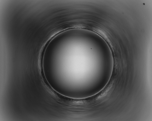 X0000088460843200705291529