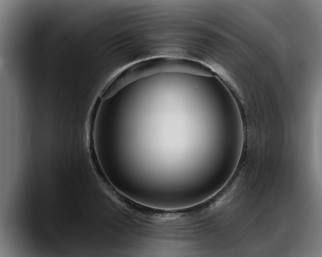 X0000088460846200705291529