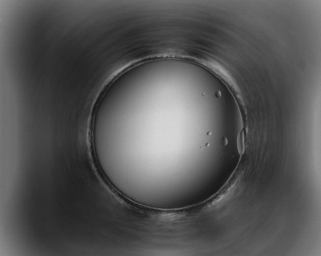 X0000088460847200705291529