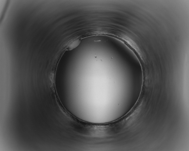 X0000088460849200705291529