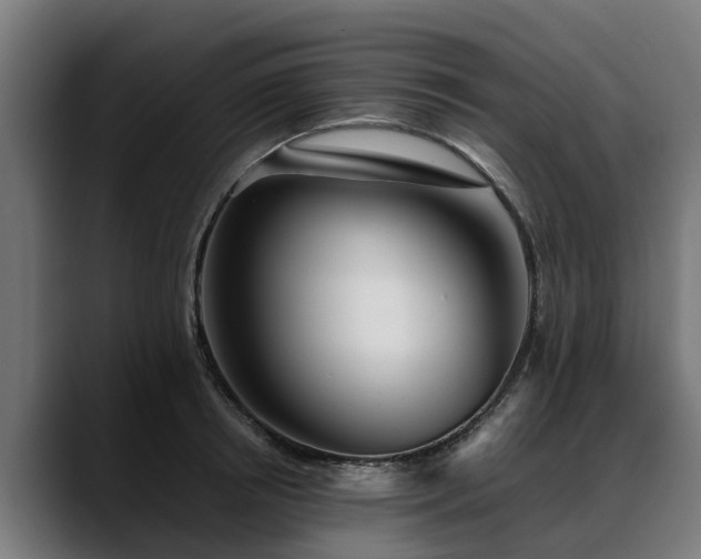 X0000088460850200705291529