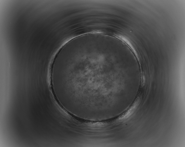 X0000088460851200705291529