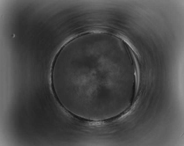 X0000088460853200705291529