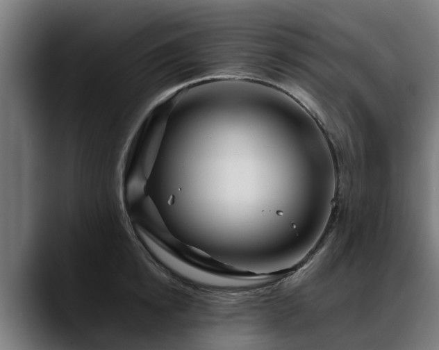 X0000088460854200705291529