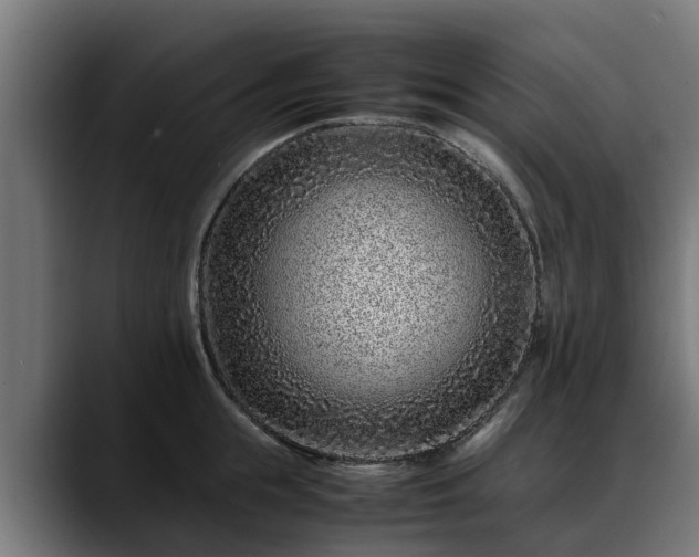 X0000088460855200705291529