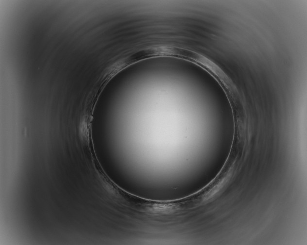 X0000088460857200705291529