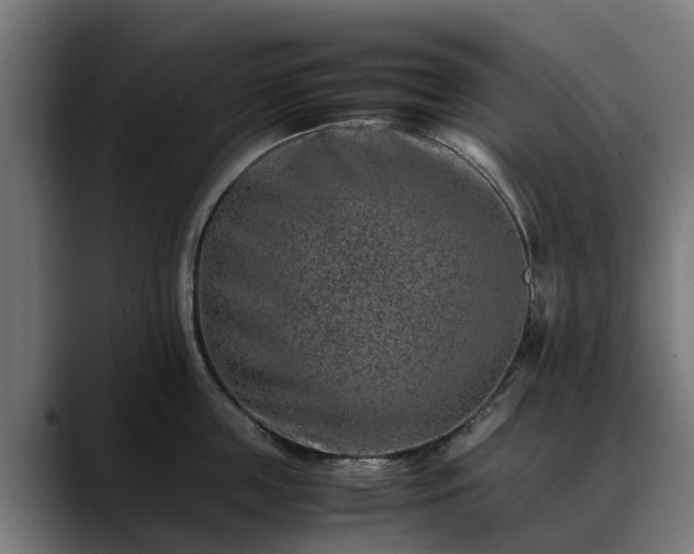 X0000088460859200705291529