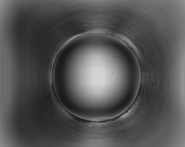 X0000088460860200705291529