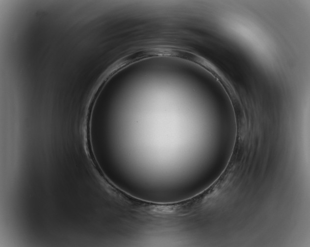 X0000088460861200705291529