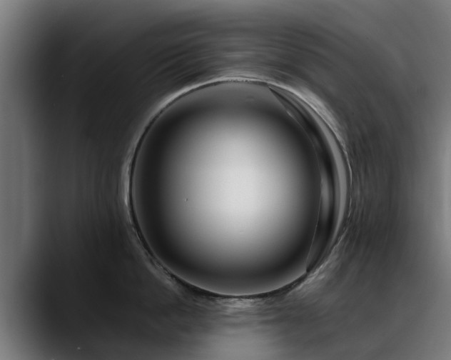 X0000088460862200705291529