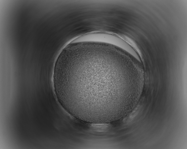 X0000088460863200705291529