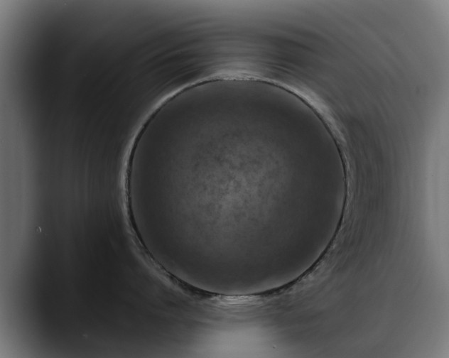 X0000088460864200705291529