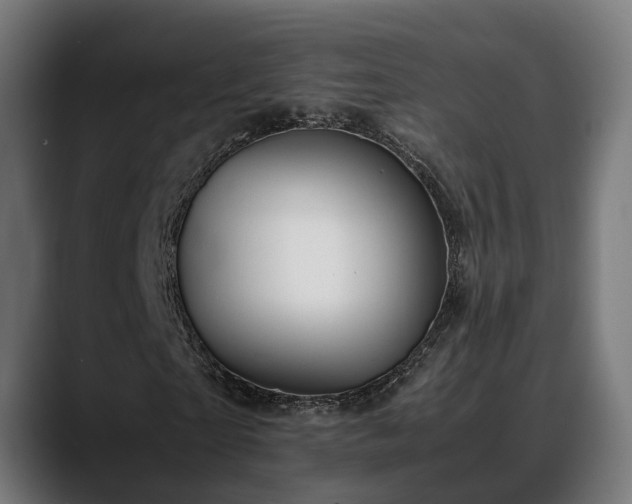 X0000088460865200705291529