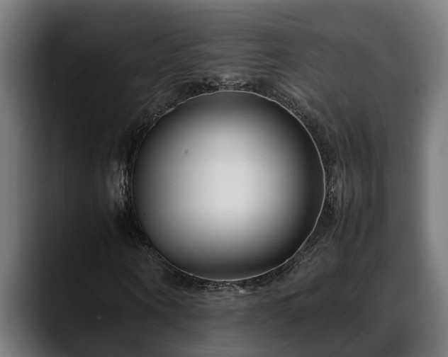 X0000088460866200705291529