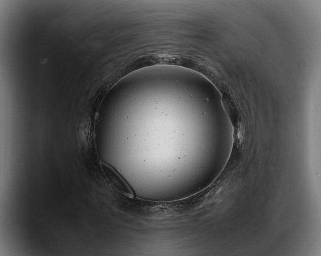 X0000088460867200705291529