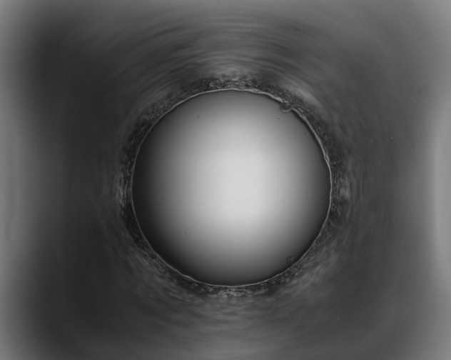 X0000088460869200705291529