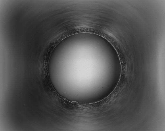 X0000088460870200705291529