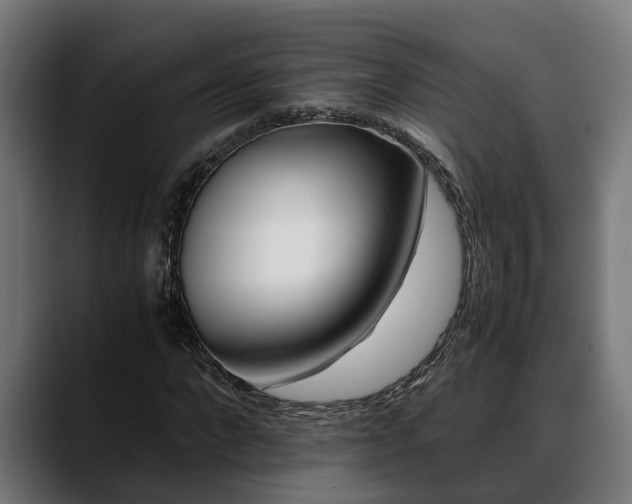 X0000088460872200705291529