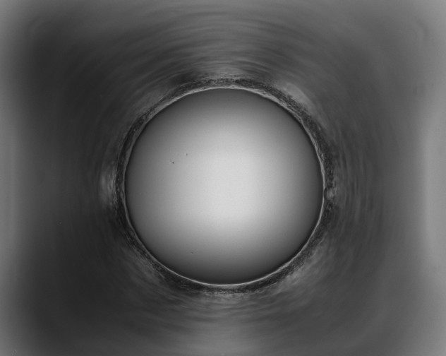 X0000088460873200705291528