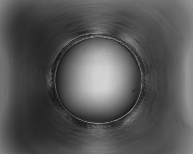 X0000088460875200705291528