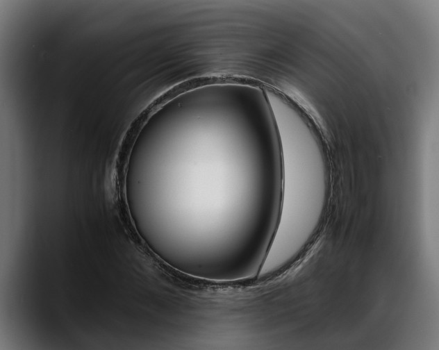 X0000088460876200705291528