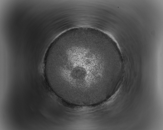 X0000088460879200705291528