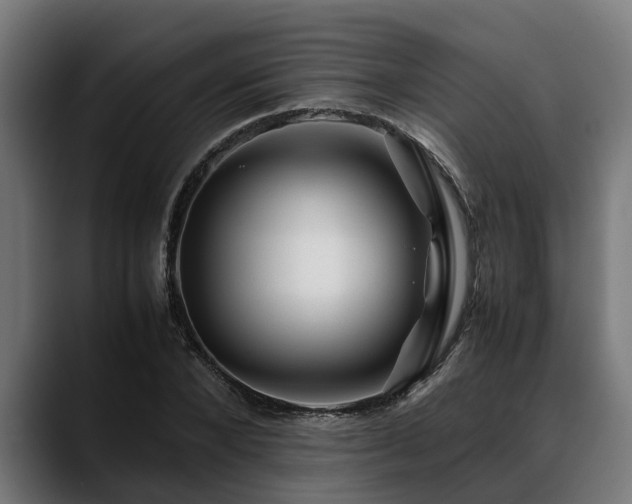 X0000088460880200705291528