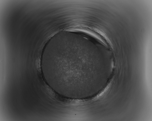 X0000088460881200705291528