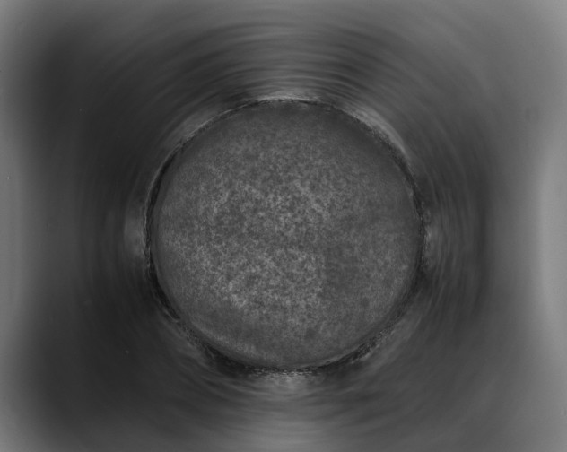 X0000088460882200705291528