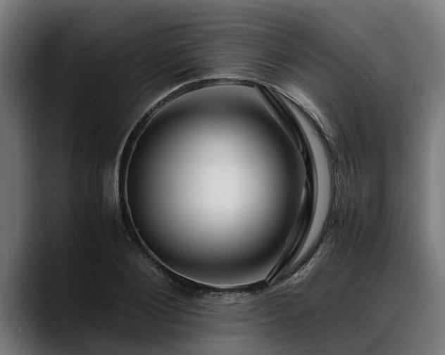 X0000088460884200705291528