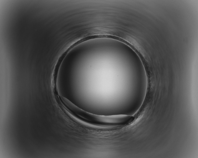 X0000088460885200705291528