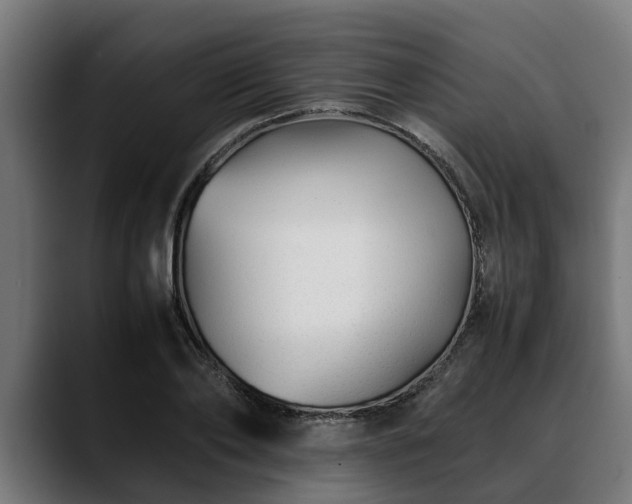 X0000088460886200705291528