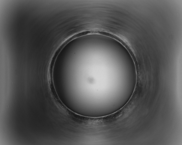 X0000088460887200705291528