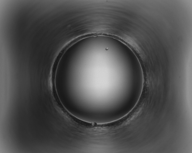 X0000088460888200705291528