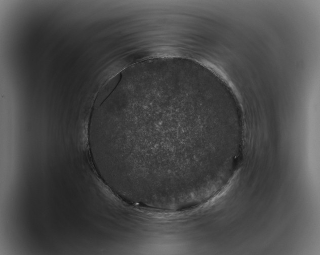 X0000088460889200705291528