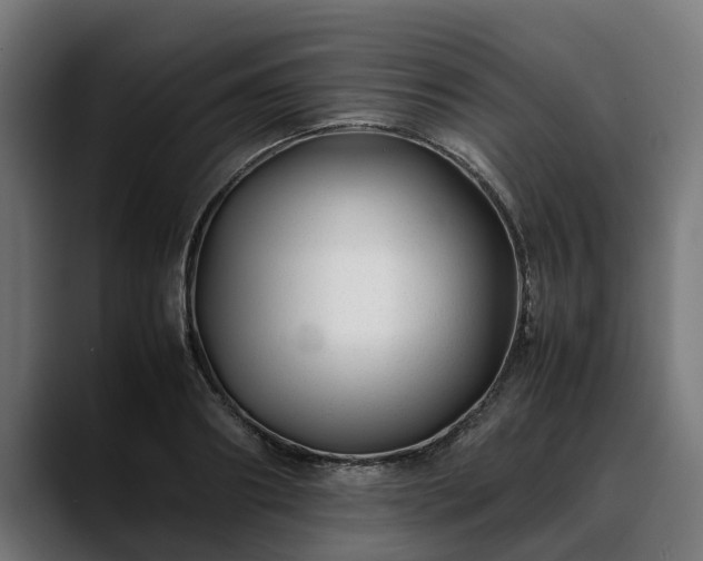 X0000088460890200705291528