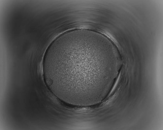 X0000088460891200705291528