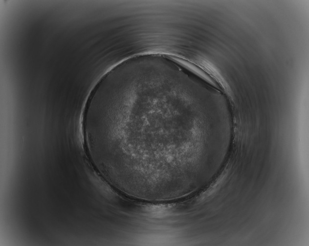 X0000088460892200705291528