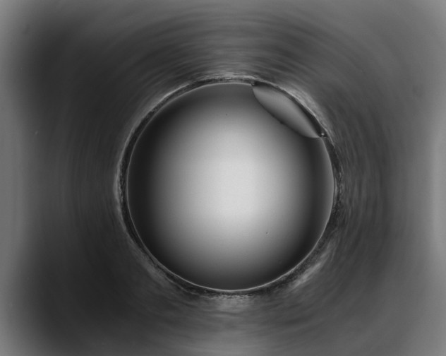 X0000088460893200705291528