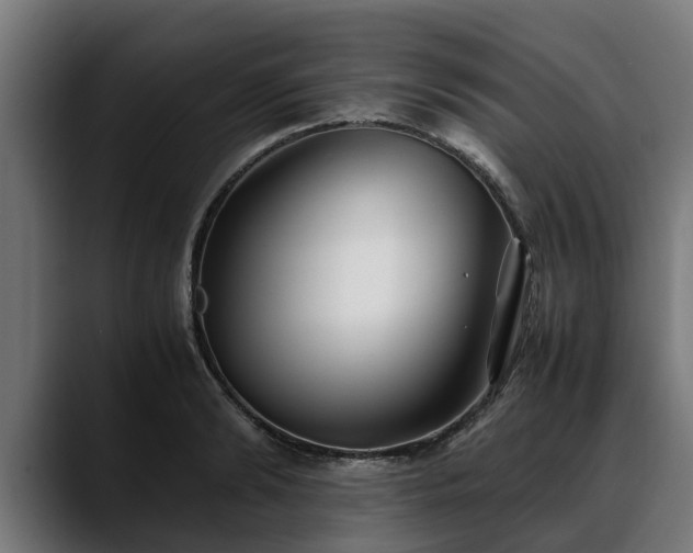 X0000088460894200705291528