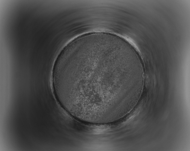 X0000088460895200705291528