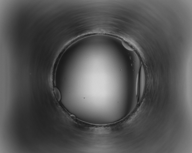 X0000088460896200705291528