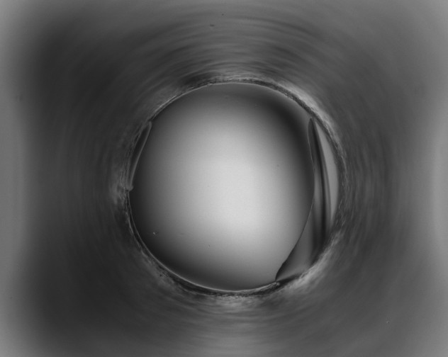 X0000088460897200705291528