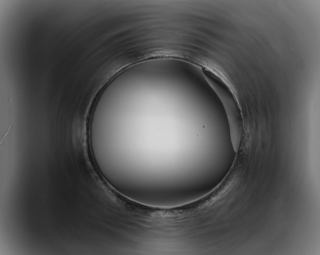 X0000088460898200705291528